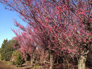 2C3CEEC5-7F49-437C-B7B4-F960DB6A55E3.jpg