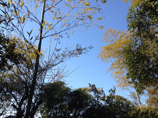 98F04CC1-3955-4D09-BE8A-41605550660A.jpg