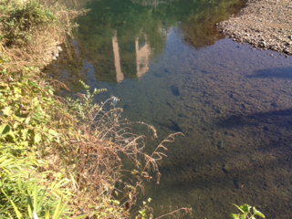 image-20131108112954.png