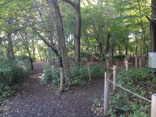 image-20131108113305.png