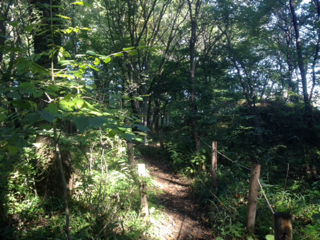image-20131108113340.png
