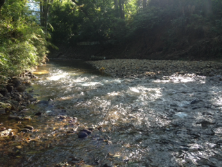 image-20131108113527.png