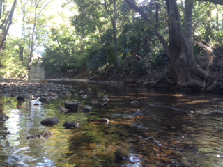 image-20131108113602.png