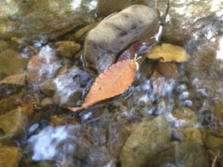 image-20131108113711.png