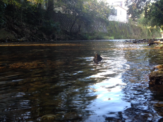 image-20131108113735.png
