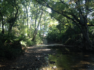 image-20131108114153.png
