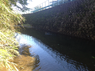 image-20131108114221.png