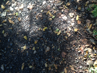image-20131108114828.png