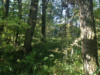 image-20131108114852.png