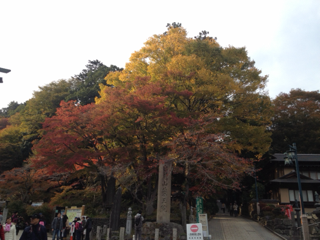 image-20131115004105.png