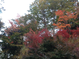 image-20131115004636.png